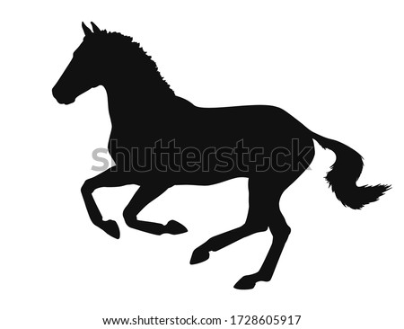 Black silhouette of a cantering horse