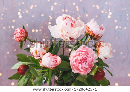 Close up photo of beautiful pink peonies with golden bokeh. Birthday background with copy space.