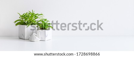 Houseplants in marble flowerpots on a table near bright white wall.