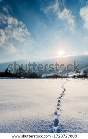 Trail in the snow at sunrise and sunset.  Footprints in the snow in the forest. Winter background. Trail, traces of people in fresh snow. Snowdrift. Footprints in the sunset at winter. Background. Royalty-Free Stock Photo #1728729808