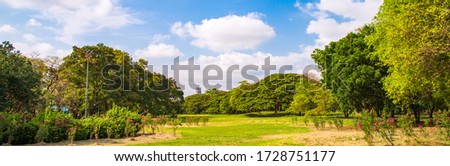 Panoramic picture greenery of many tropical tree growing on meadow against blue sky with fluffy clouds in public park in the city.