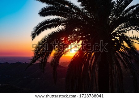 Los Angeles Skyline Sunset Beauty