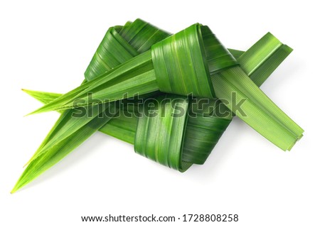 fresh pandan leaf knots isolated on the white background, top view