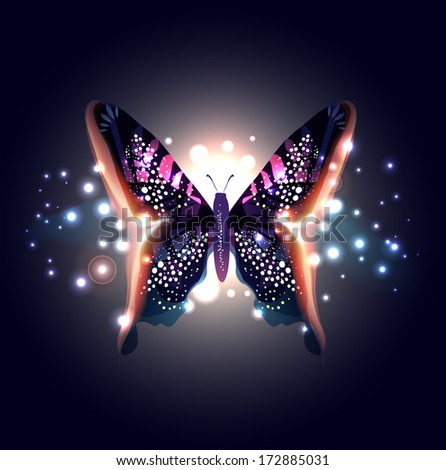 Beautiful Abstract Butterfly 