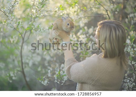 easter bunny in blooming cherry branches april seasonal spring background