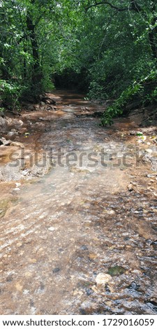 Forest river landscape and water flow 
