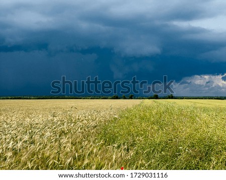 
Landscape before the storm, dark blue clouds.