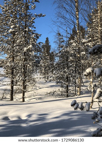 Winter wonderland in Lapland. Christmas.
