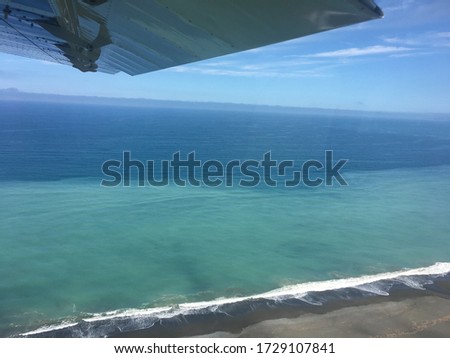 Beautiful pictures at the Wings over Whales at Kaikoura,New Zealand.
