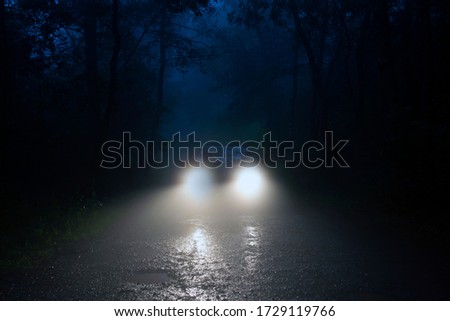 A spooky forest road with car headlights shining through the fog.