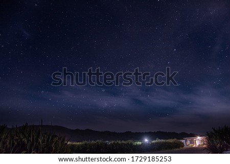 nights and stars in New Zealand
