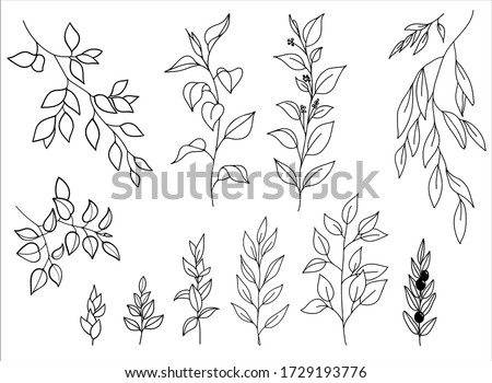 Vector hand drawn set of various silhouette branches with leaves in outline technique on the white background. Royalty-Free Stock Photo #1729193776