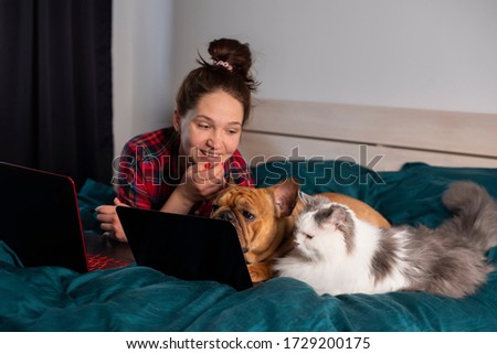young girl, her dog french bulldog and fluffy cat work at home in bed during quarantine