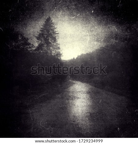 Dark mysterious forest wallpaper, grunge horror scary background