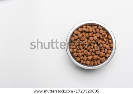 Dog food in a silver bowl. In the center. Copy, text sapce. Royalty-Free Stock Photo #1729320805