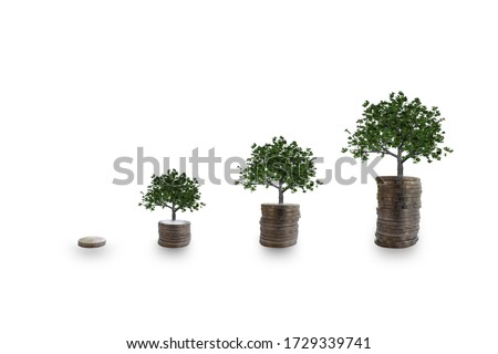 Growing money on white background.Saving money.Plant On Coins.