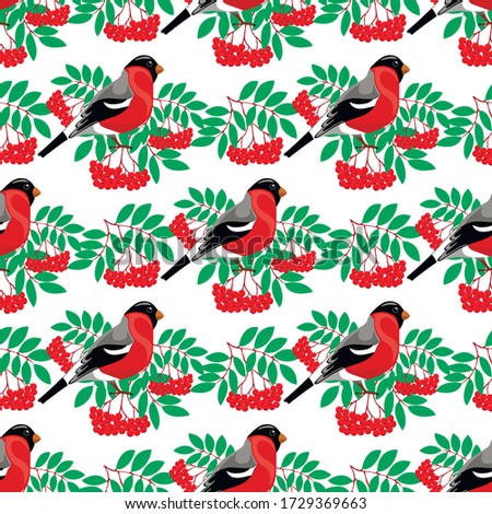Seamless pattern bird nigiri and rowan berries, vector illustration