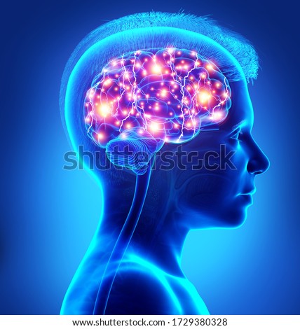 3d rendered, medically accurate illustration of a young boy active brain