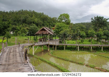 Pai bamboo bridge with some houses and rice fields next to it