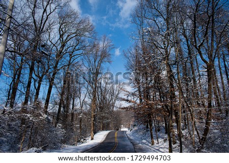 Road in between snowy trees
