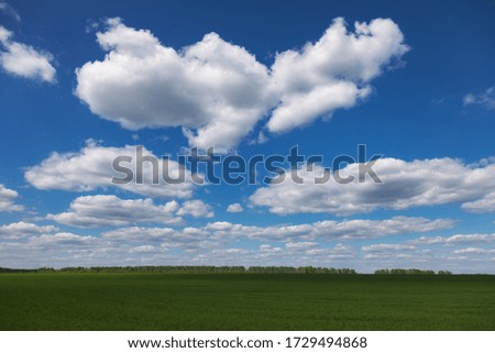 Daytime landscape with green field and beautiful clouds in the sky