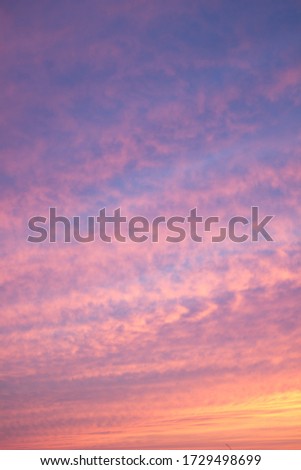 
texture of bright pink orange sky, screensaver on your desktop, phone, feather and cumulus clouds at sunset