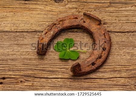 Very old cast iron metal horse horseshoe, fresh clover leaf. Good luck symbol, St.Patrick's Day concept. Antique wooden background, horse accessories