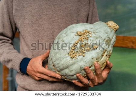 Farmer with a huge colorful green organic pumpkin
