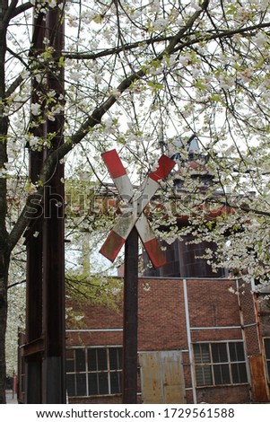 Railway level crossing with a saltire (Saint Andrew's Cross) between blossoms