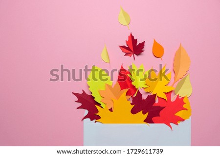 Autumn leaves in an envelope on a pink background