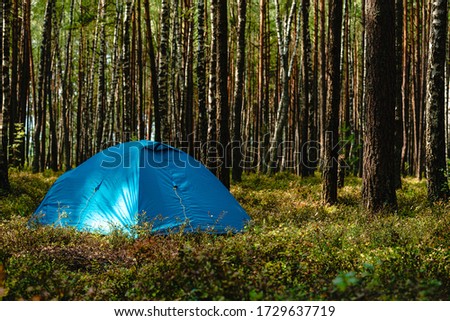 hiking travel life style passion concept picture of tent camp side place in forest, hiking concept Adventures Camping tourism pine forest Travel