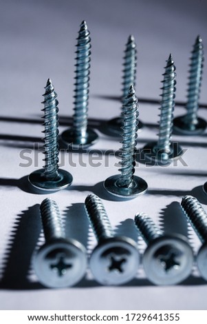 Tapping screws stand in a row and lie in a row on a white background. Macro shooting. Repair theme.