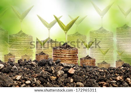 Financial Growth Investment concept,coin in soil golden coin over bokeh green background