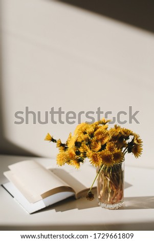 A book and a bunch of yellow dandelions on a white background. A glass vase with dandelions. Still life with wild flowers. Warm tone. Play of light and shadow. Good morning. Summer flowers