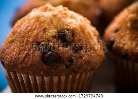 cupcakes with chocolate on wooden table and blue background