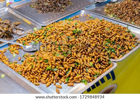 Tasty fried caterpillar were sold as food in street market of Thailand. Pranburi, Thailand - April 12,2020