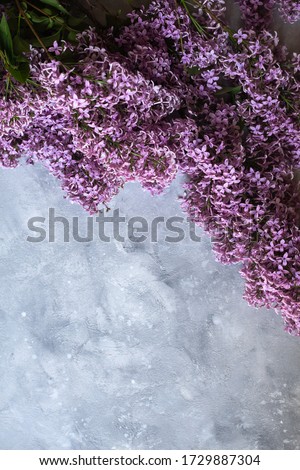 
A bouquet of lilac lies on a light background. Spring time.