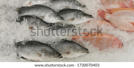 close up whole White snappers and Red tilapias on ice for sale at the supermarket
