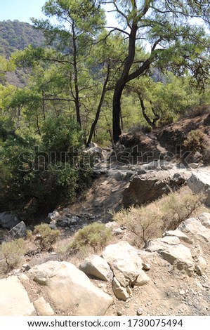 Antalya, Turkey. 08/31/2109. Yanartas (Chimera) road in the ancient city of Olympos. The region is famous for its constantly burning fires.