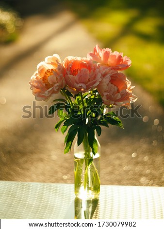 Beautiful pink peonies in a glass vase. Flowers in a vase on a mirror table. Peonies with bokeh.
