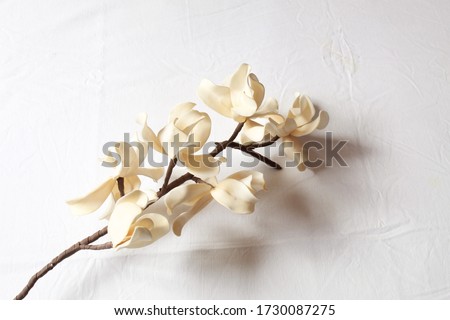 Elegant and minimalist image of tuberose with beige background and field notebook with smooth sheets