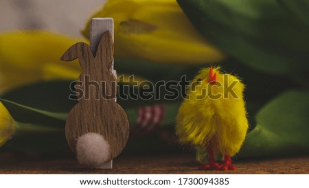 Mascot Easter chicken and rabbit on the background of spring tulips