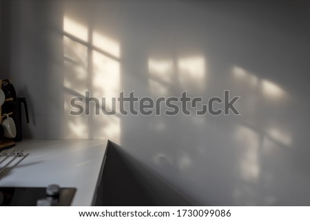Abstract shadow background of leaves and window from sunlight on white wall at kitchen with copy space Royalty-Free Stock Photo #1730099086