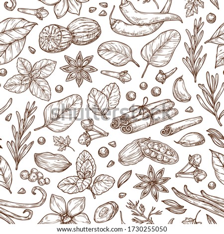 Spices and herbs sketch pattern. Pepper, basil, cinnamon, vanilla, rosemary, cardamom. Vector background for design, textile, packaging, menu. Royalty-Free Stock Photo #1730255050