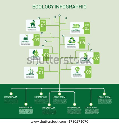 ecology tree timeline vertical infographics. sustainable development and growth of the eco. vector illustration in flat design. 8 step icon. can be used for workflow layout, diagram, web design.