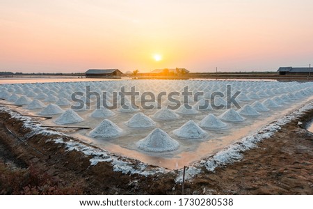 Farmers are doing salt farming in Thailand.