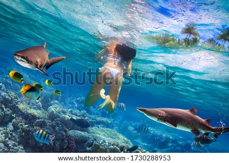 Woment swimming in the tropical water with dangerous sharks