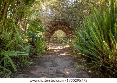 
Passageway covered with foliage and vegetation in the Mazamitla forest. Royalty-Free Stock Photo #1730295775