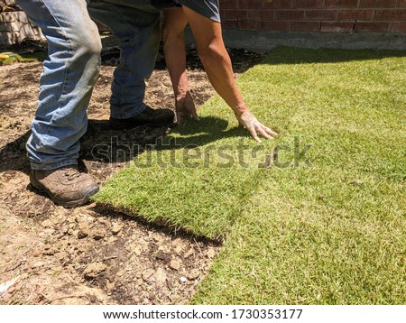 Male worker installing zoysia grass sods after raking the soil smooth Royalty-Free Stock Photo #1730353177