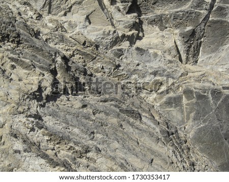   Stone background. Grunge background with rough stone surface for your design. Gray brown rock texture. Detail.                             